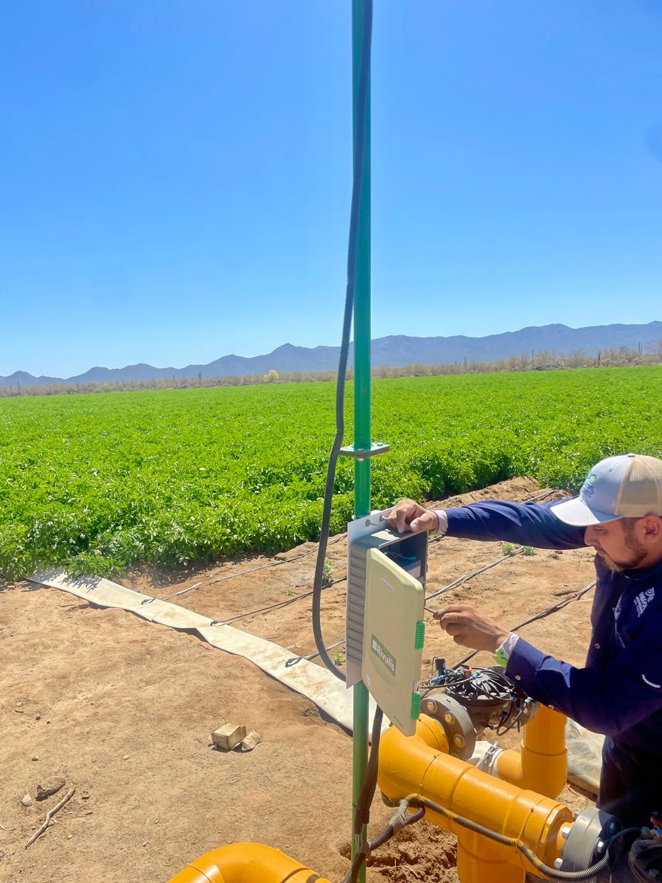 Asistencia en el campo