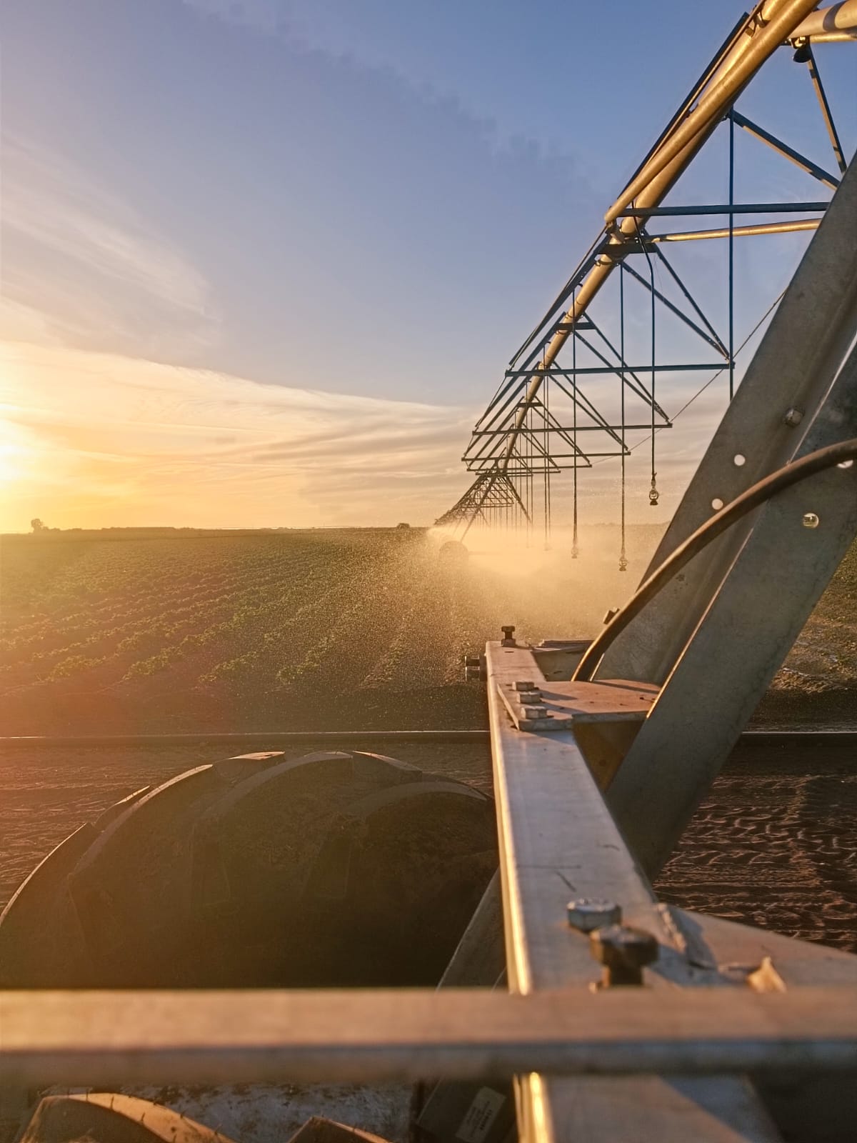 Pivote en una puesta del sol